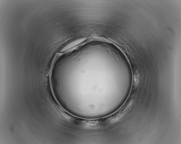 X0000112720359200909031421