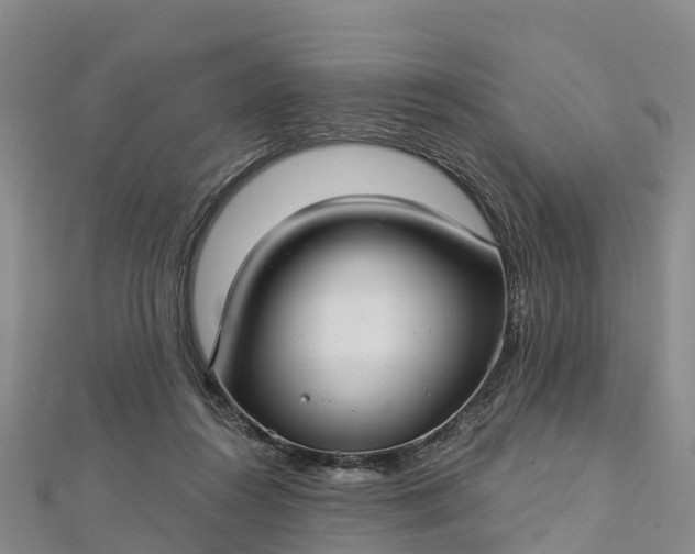 X0000112720360200909031421