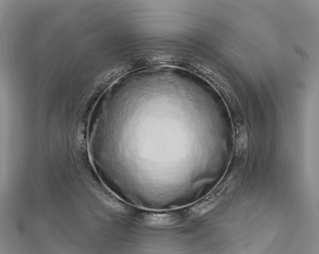 X0000112720361200909031421