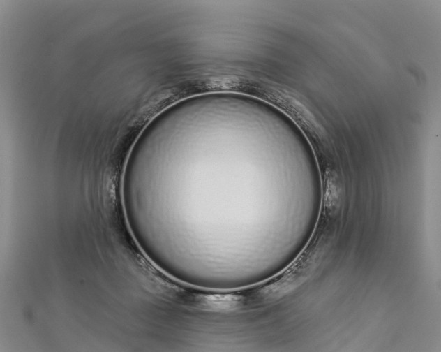 X0000112720363200909031421