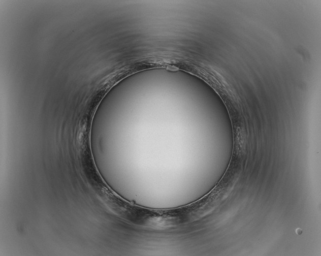 X0000112720364200909031421