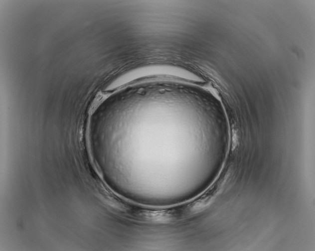 X0000112720365200909031421