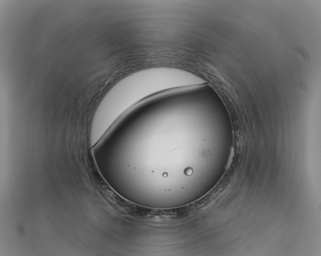 X0000112720368200909031421