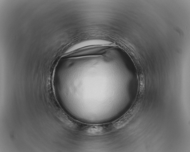 X0000112720369200909031421