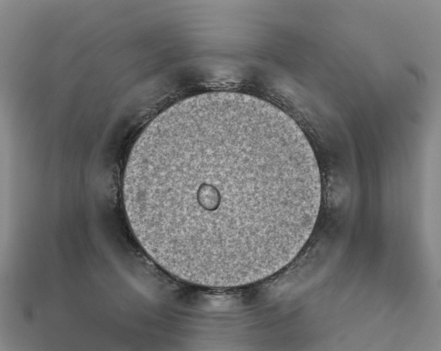 X0000112720370200909031421