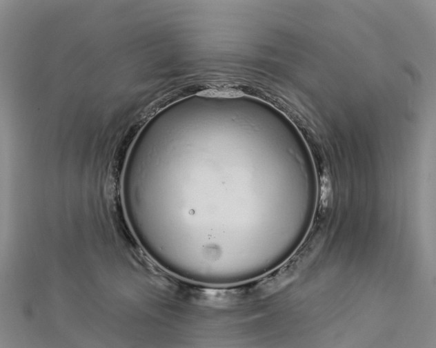 X0000112720371200909031421