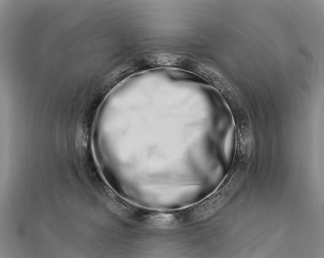 X0000112720374200909031422