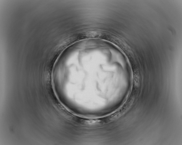 X0000112720375200909031422