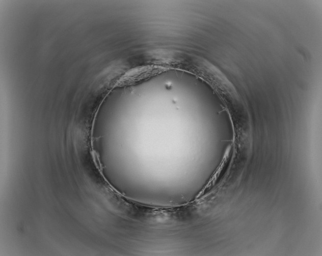 X0000112720376200909031422