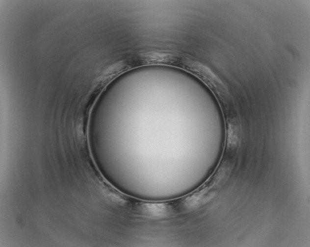 X0000112720377200909031422