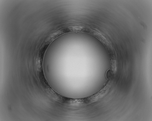 X0000112720378200909031422