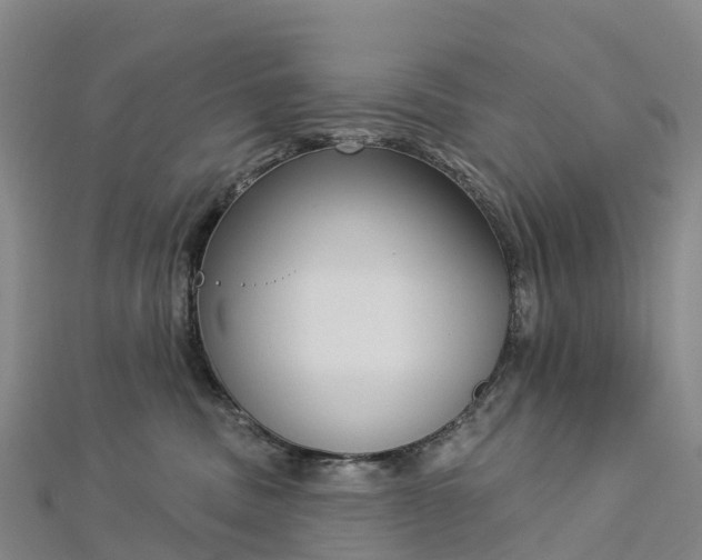 X0000112720379200909031422