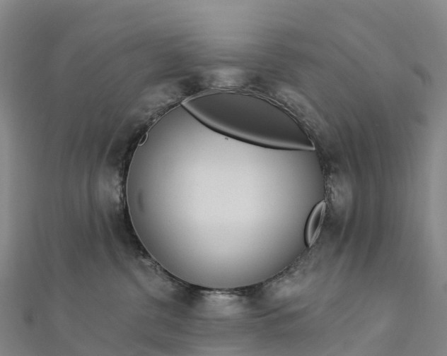 X0000112720380200909031422