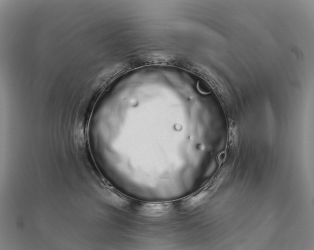 X0000112720381200909031422