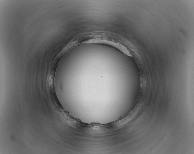 X0000112720382200909031422