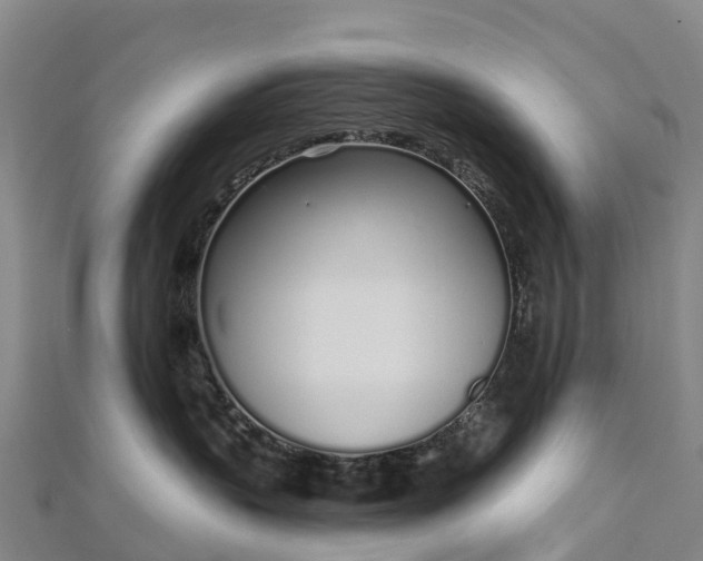 X0000112720383200909031422