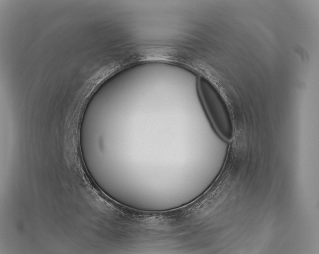 X0000112720385200909031421