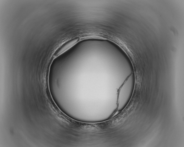 X0000112720386200909031421