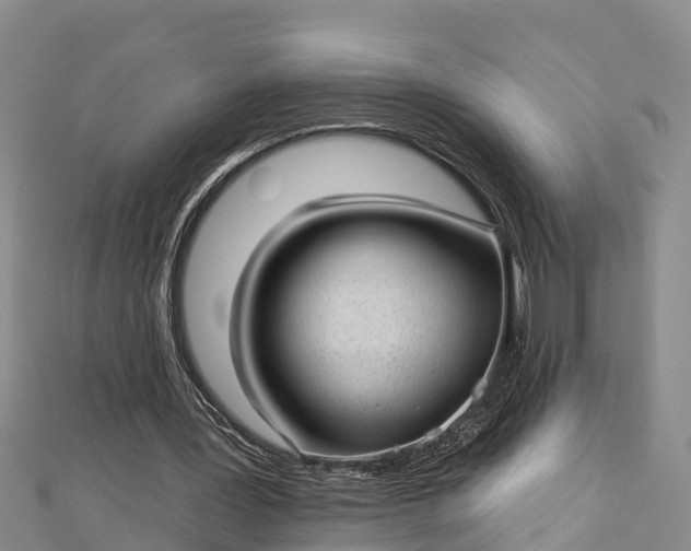 X0000112720387200909031421