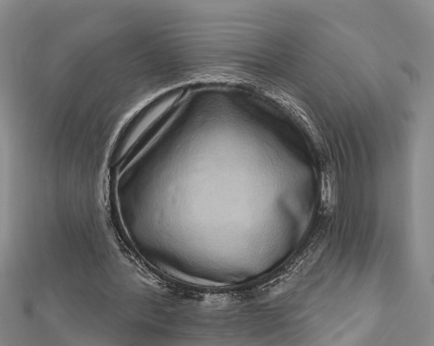 X0000112720388200909031421