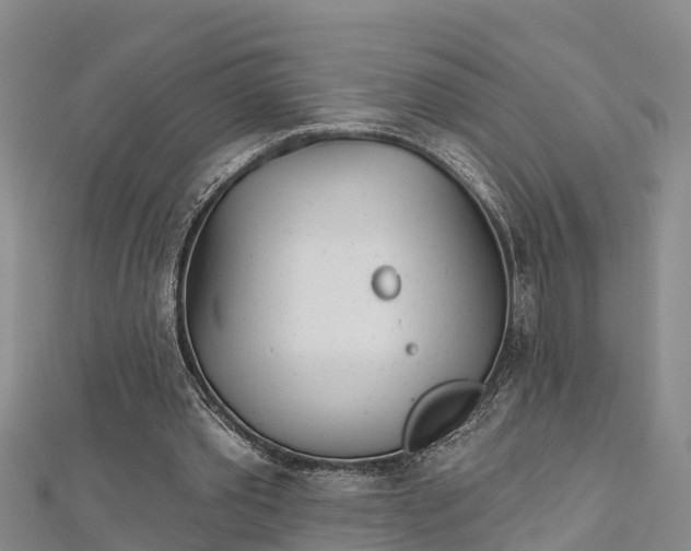 X0000112720389200909031421