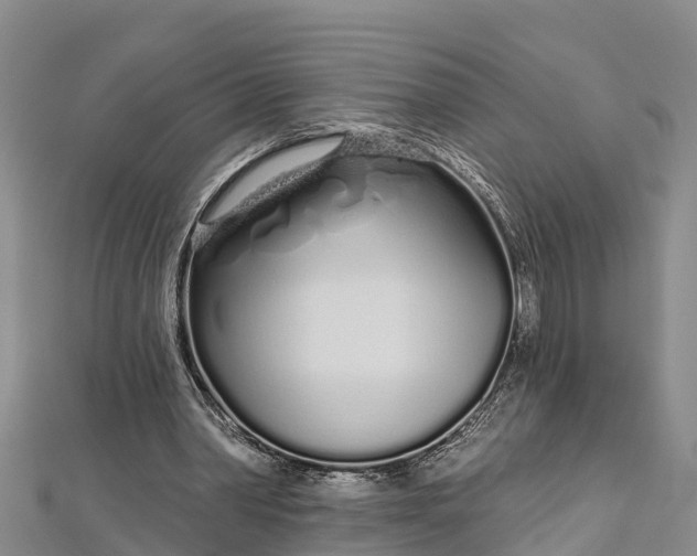 X0000112720390200909031421