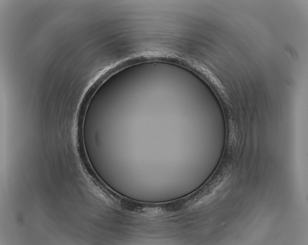 X0000112720391200909031421