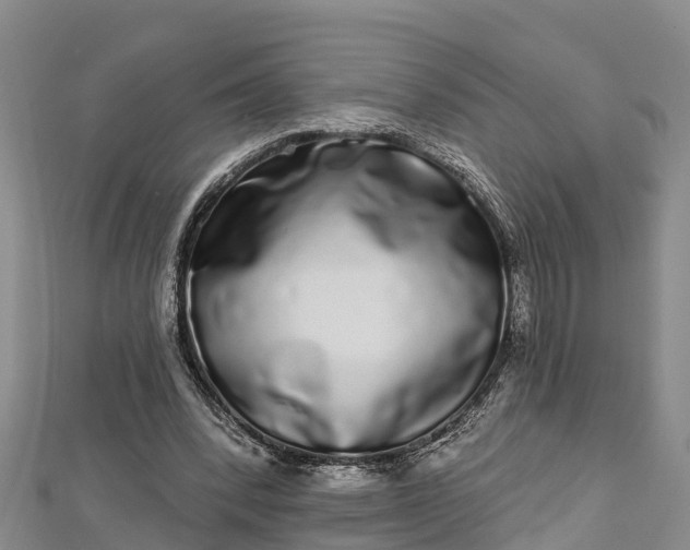 X0000112720392200909031421