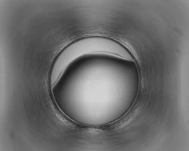 X0000112720393200909031421