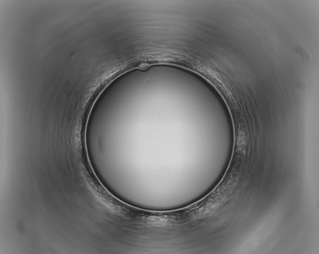 X0000112720394200909031421