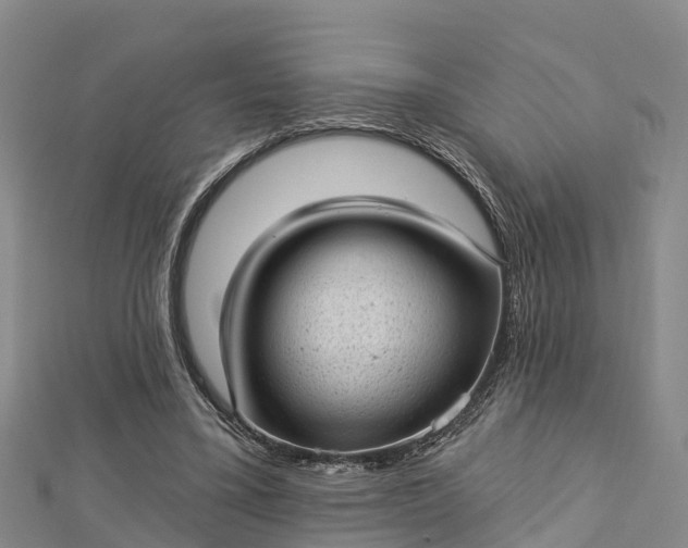 X0000112720395200909031421