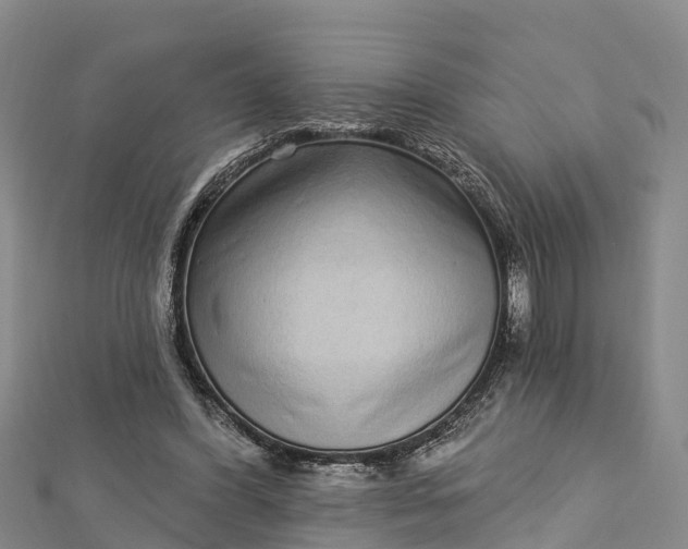 X0000112720396200909031421