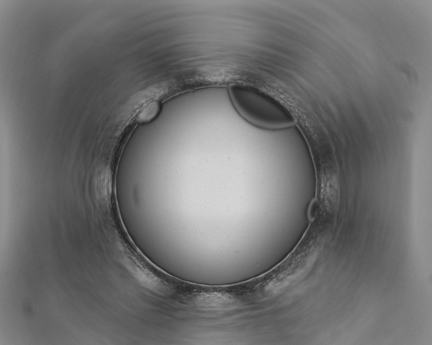 X0000112720397200909031421