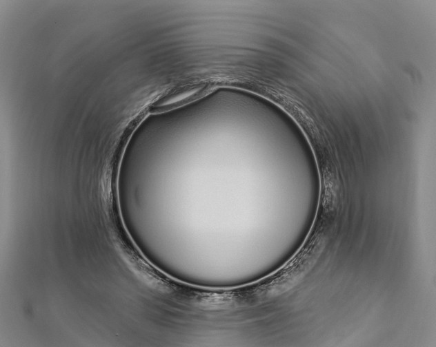 X0000112720398200909031421