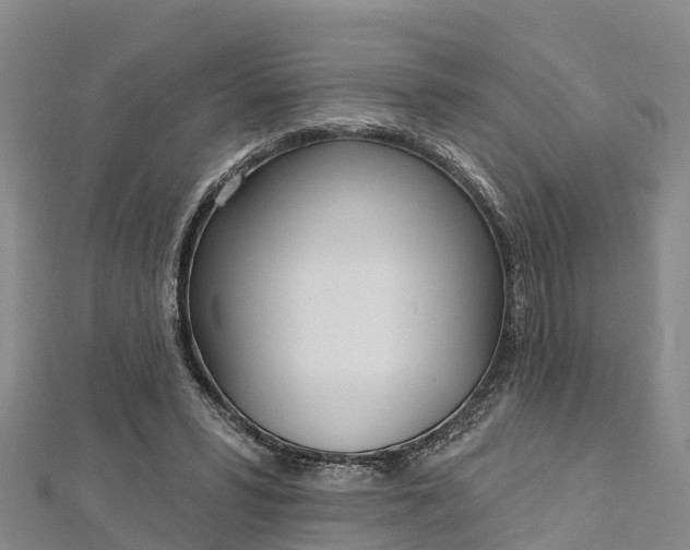 X0000112720399200909031421