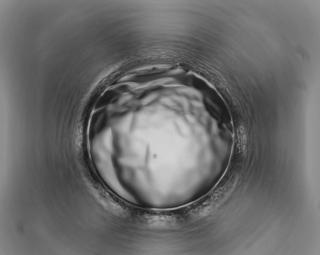 X0000112720400200909031421