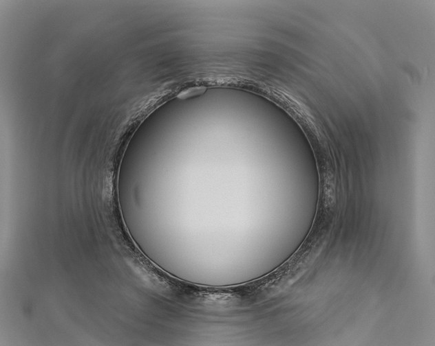 X0000112720401200909031421