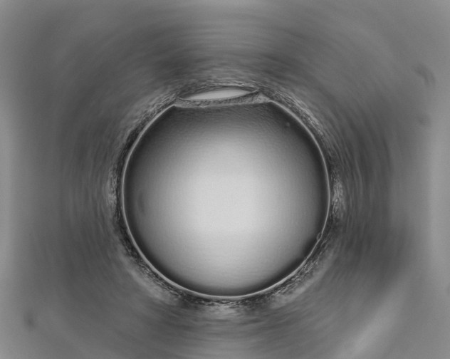 X0000112720402200909031421