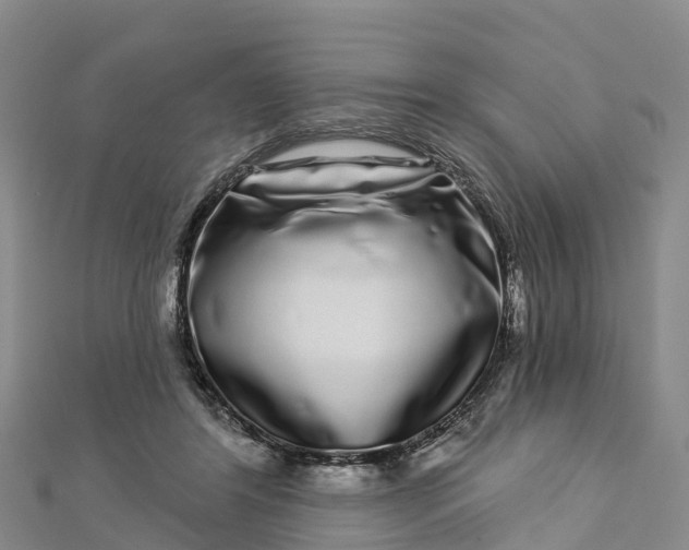 X0000112720404200909031421