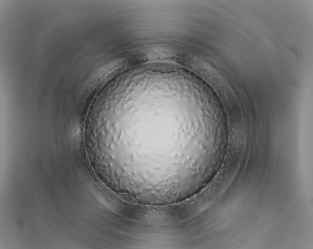 X0000112720405200909031421