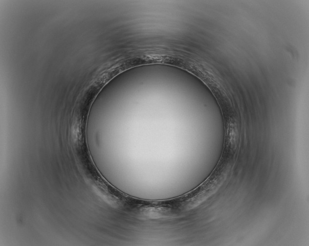 X0000112720408200909031421