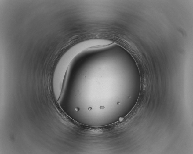 X0000112720409200909031421