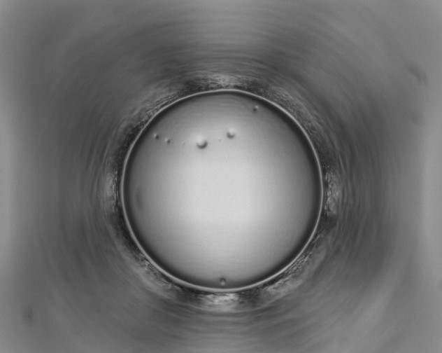 X0000112720410200909031421