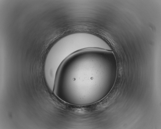 X0000112720411200909031421