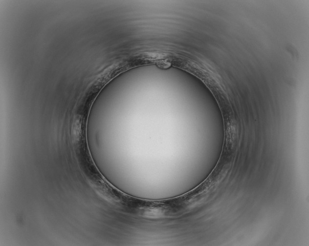 X0000112720412200909031421