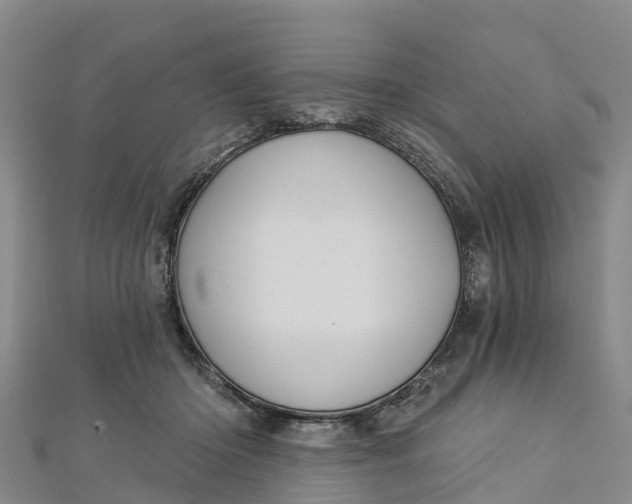 X0000112720414200909031421