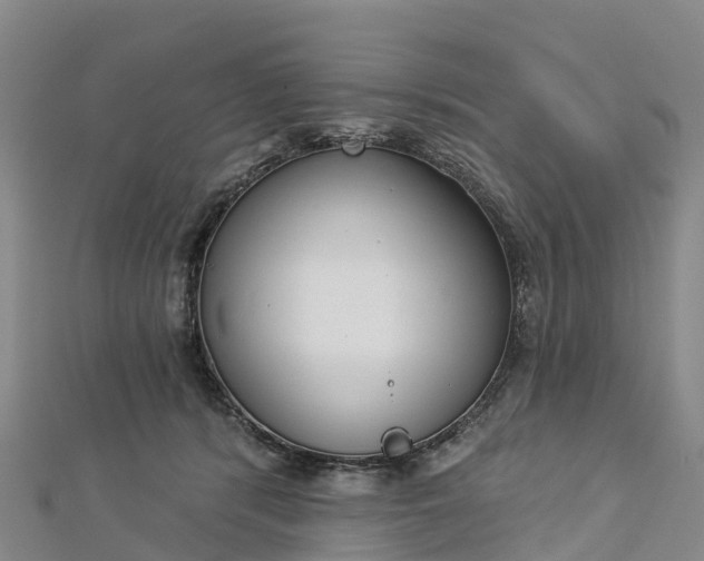 X0000112720416200909031421