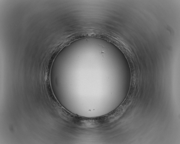 X0000112720417200909031421