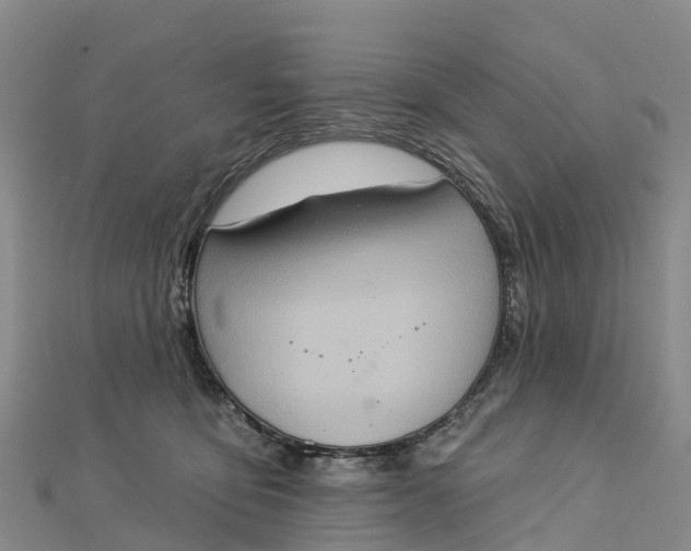 X0000112720419200909031421