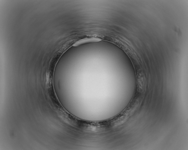 X0000112720420200909031421